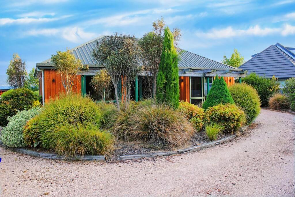 Villa Popular Family And Pet Friendly Modern Cosy Bach Wifi Hanmer Springs Exterior foto